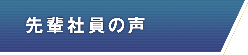 先輩社員の声